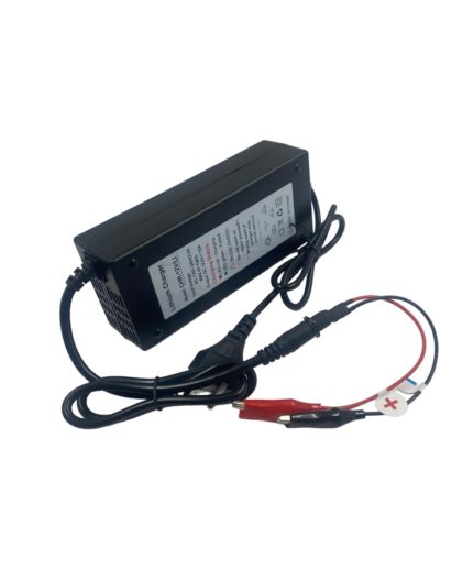 Зарядное устройство для аккумулятора LiFePo4 12в (Быстрое)